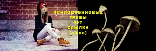 винт Гусев