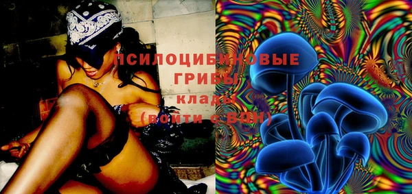 винт Гусев