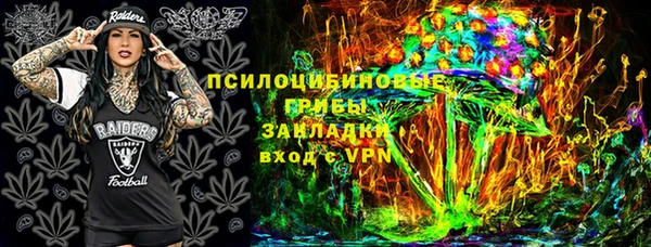 молекула духа Гусиноозёрск