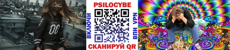 Псилоцибиновые грибы Psilocybe  купить наркоту  Новокубанск 